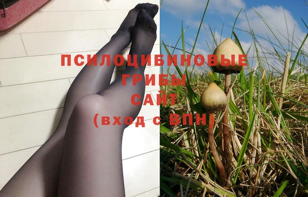 каннабис Абаза
