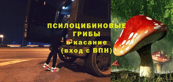 ГАЛЛЮЦИНОГЕННЫЕ ГРИБЫ Абдулино