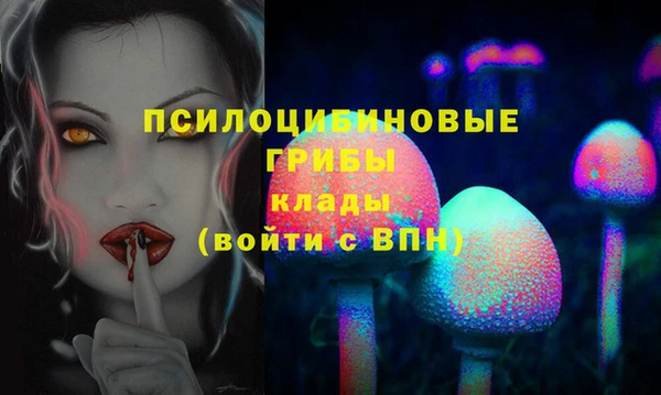 ГАЛЛЮЦИНОГЕННЫЕ ГРИБЫ Абдулино